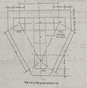 কাপের ছেদিত দৃশ্য