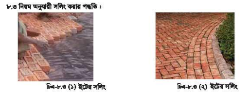ব্যবহারিক ১