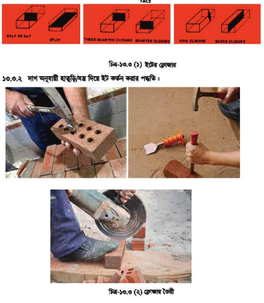 ব্যবহারিক ১