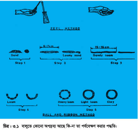 ব্যবহারিক ১