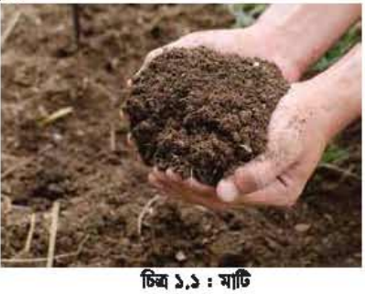 বিল্ডিং মেইনটেন্যান্সের মাটি