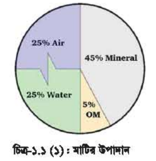 বিল্ডিং মেইনটেন্যান্সের মাটি