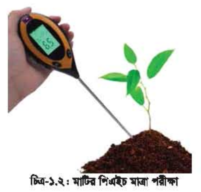 বিল্ডিং মেইনটেন্যান্সের মাটি