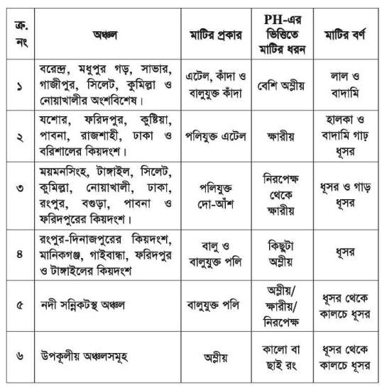 বিল্ডিং মেইনটেন্যান্সের মাটি